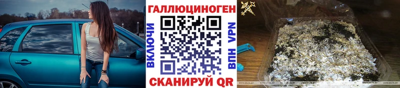 Галлюциногенные грибы GOLDEN TEACHER  kraken как войти  Мезень 